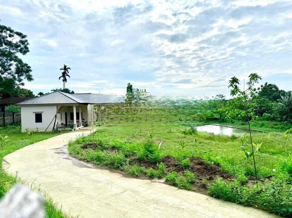 Đất nghỉ dưỡng Yên Bài 3000m² - Lô góc view thoáng, sổ hồng sẵn