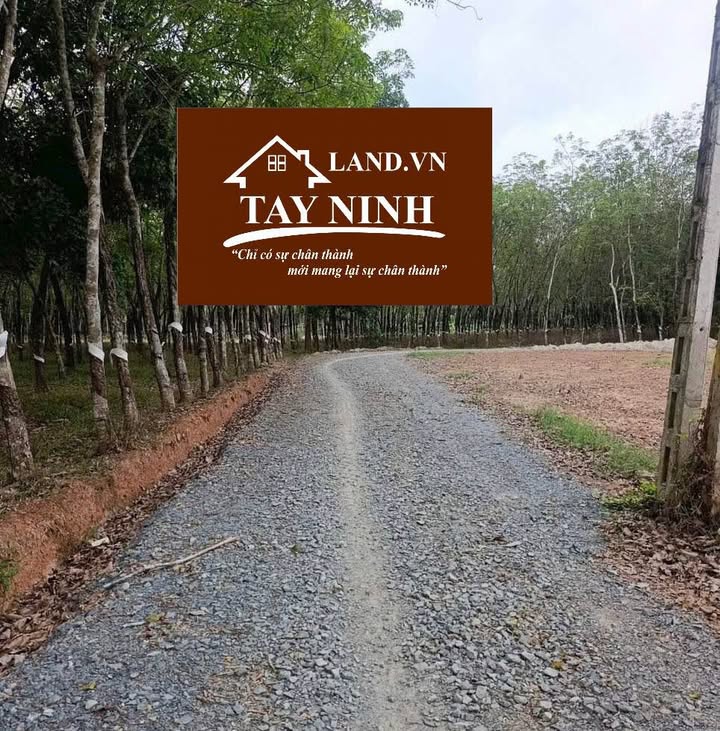 Bán Nhanh Đất 210m² Phường Long Hoa, Tây Ninh - Chỉ 390 Triệu, Bao Phí Giấy Tờ