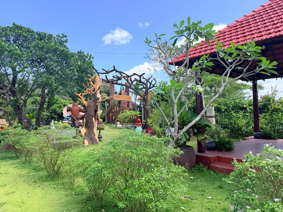 Farm 5000m² Thổ cư Sổ Đỏ Trung Tâm TT Ngô Mây, Phù Cát - Đầu Tư Sinh Lời