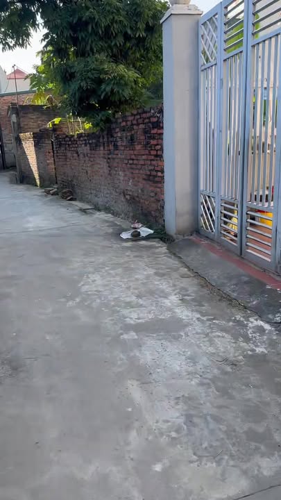 Đất nền Việt Yên, Bắc Giang - Sát Luxshare, 180m², Kinh doanh/Ở tốt