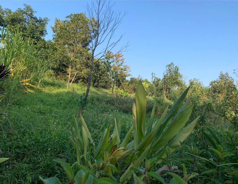 Đất Vườn Sông Công 4.000m² - Nghỉ Dưỡng Lý Tưởng!