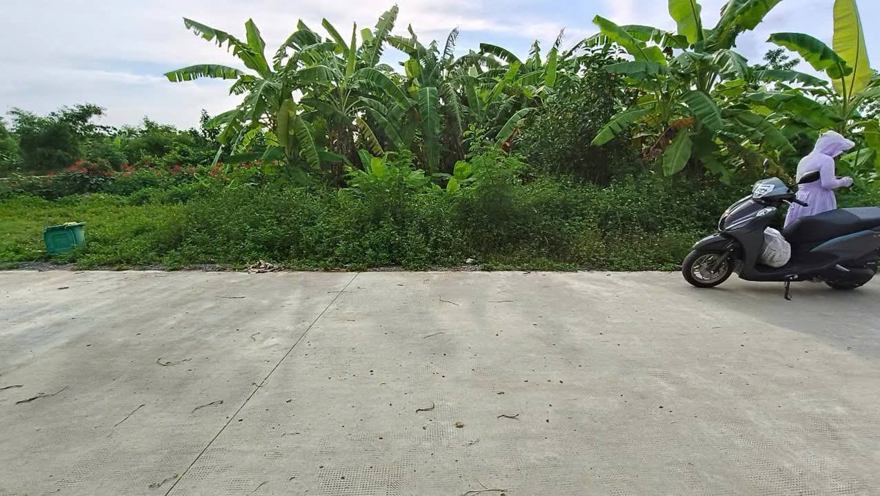 Bán Đất Nền 160m² Khu Minh Hoà, Hậu Lộc - Gần Bệnh Viện, Chợ