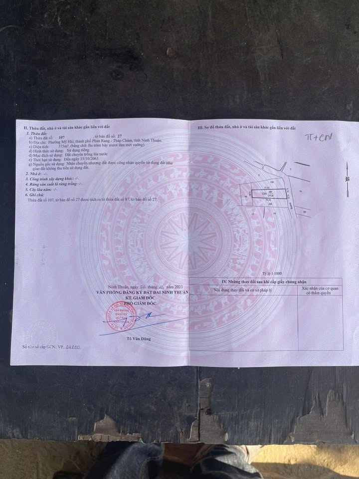 Đất Nền Mỹ Hải 375m² Sổ Sẵn - Giá 580 Triệu Gần Vườn Xoài