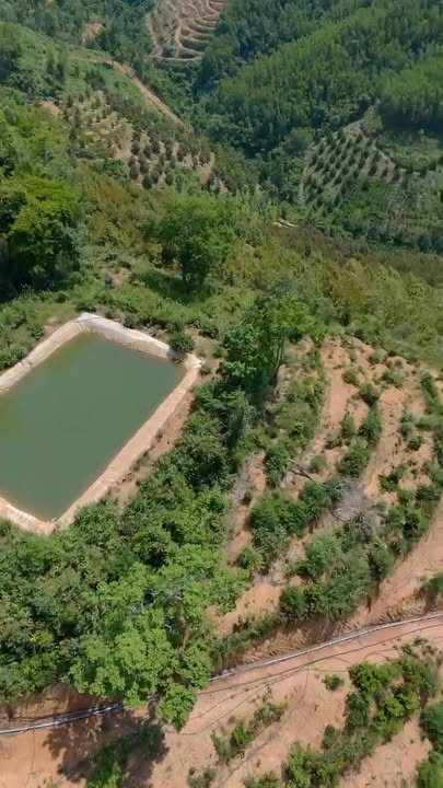 Bán Đất Vườn 10ha Khánh Sơn, Khánh Hòa - Giá Đầu Tư 6 Tỷ