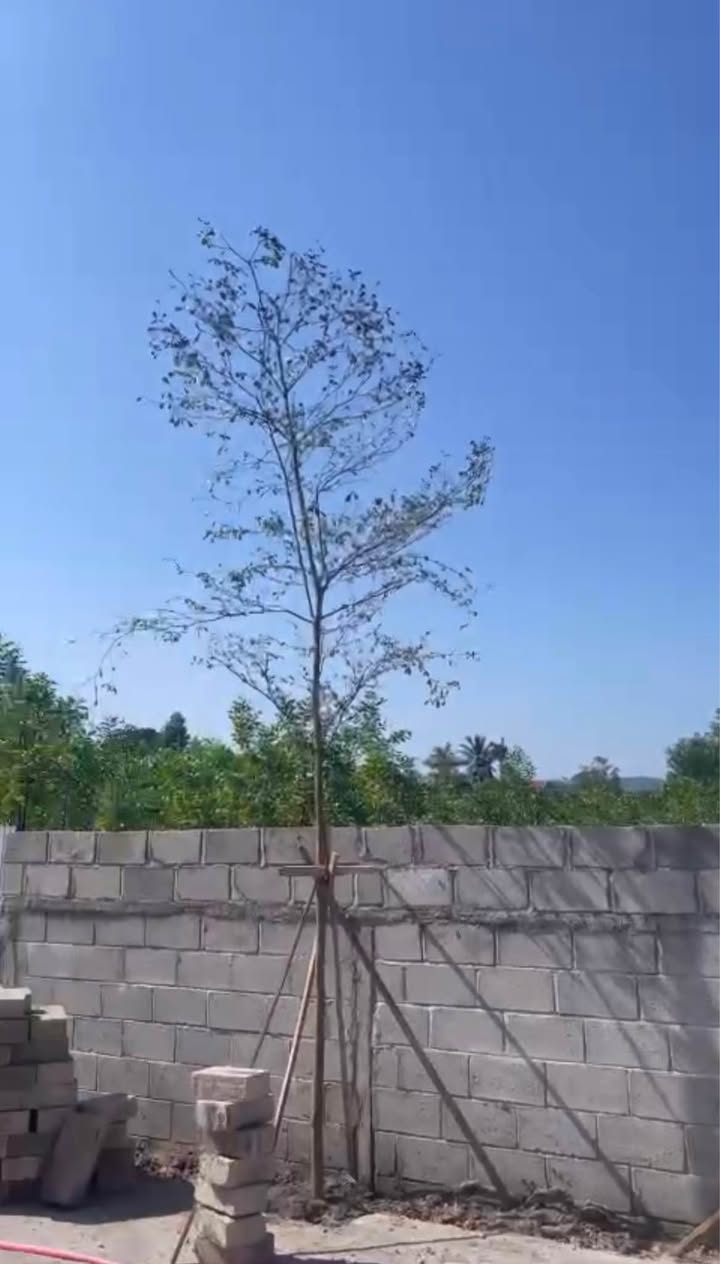 Đất nền Kiệt 3 Minh Mạnh, Huế 105m² - Sổ đỏ chính chủ!