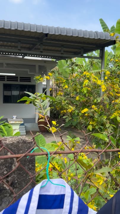 Nhà vườn Cần Giuộc 280m² - Sẵn sàng ở ngay!