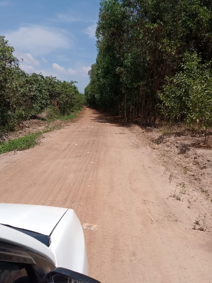 Đất Vàng Hóc Môn 360m² - Sổ Đỏ Vuông Vắn, Giá Đầu Tư