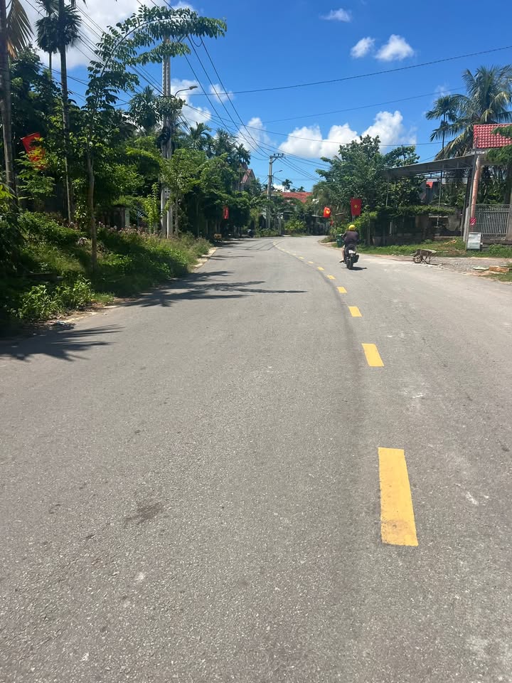 Đất nền Hoài Nhơn 274m² - Tiềm năng tăng giá vượt trội!