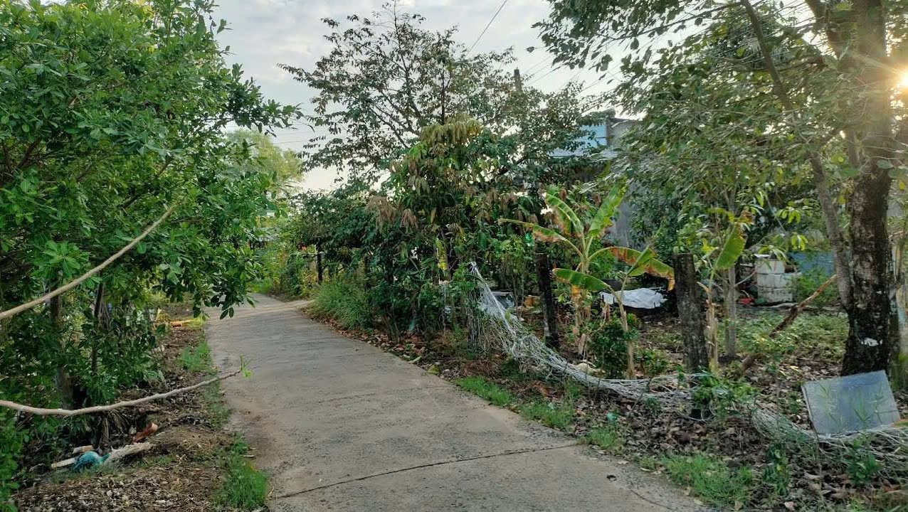 Bán Đất Vườn Cà Mau 690m² - Hướng Tây, Gần Cầu Bà Thụ