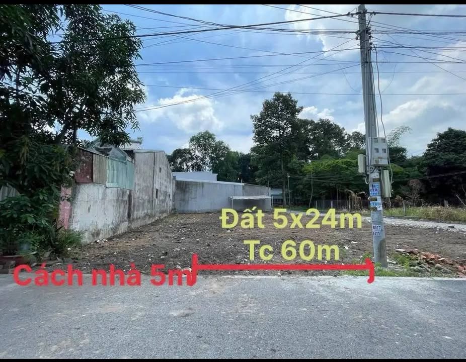 Đất Nền 118m² Huỳnh Văn Lũy, Thủ Dầu Một - Sổ Hồng Riêng, Giá 2.55 Tỷ