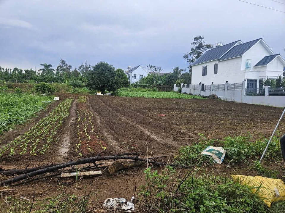 Đất nền Bảo Lâm, Lâm Đồng 3 tỷ - Tiềm năng tăng giá vượt trội!