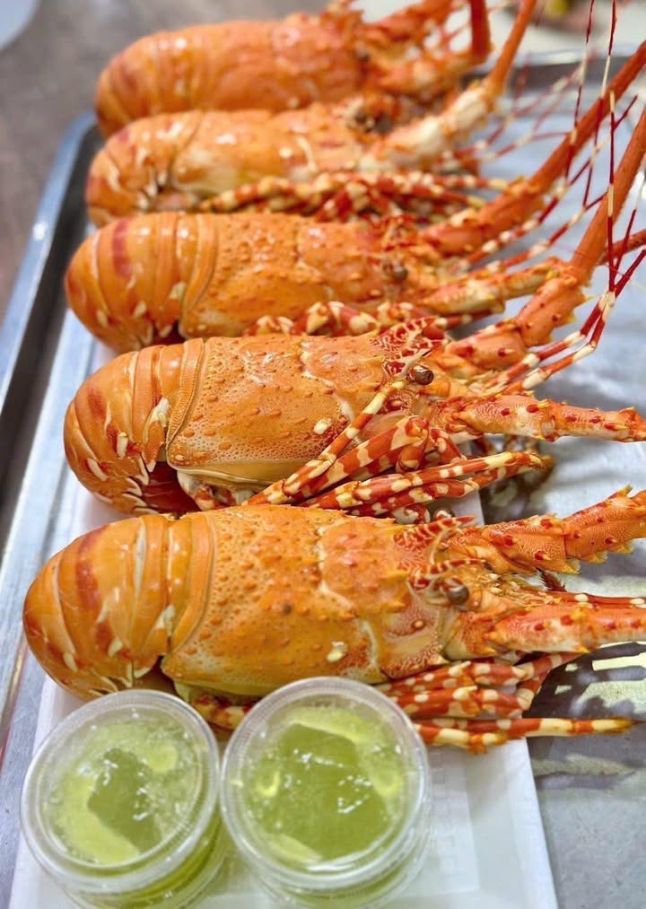 Đất nền Triệu Lăng, Quảng Trị 210m² - Sổ đỏ chính chủ, gần biển!