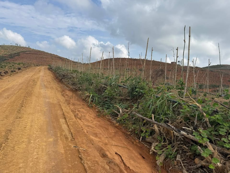 Đất vườn Ea Sar, Đắk Lắk 5.6ha giá 1.9 tỷ - Giá đầu tư tốt!