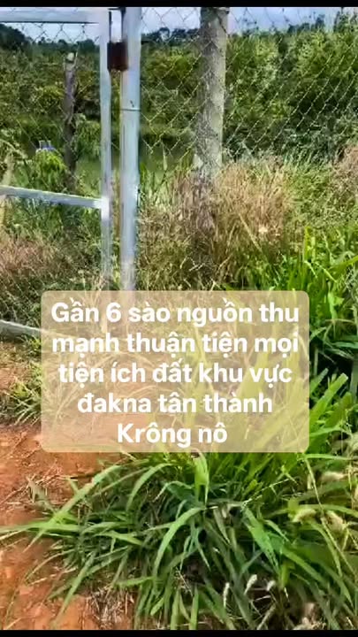 Đất rẫy Tân Tiến Krông Pắc 2160m² - Sổ đỏ chính chủ, ôm đường thông!