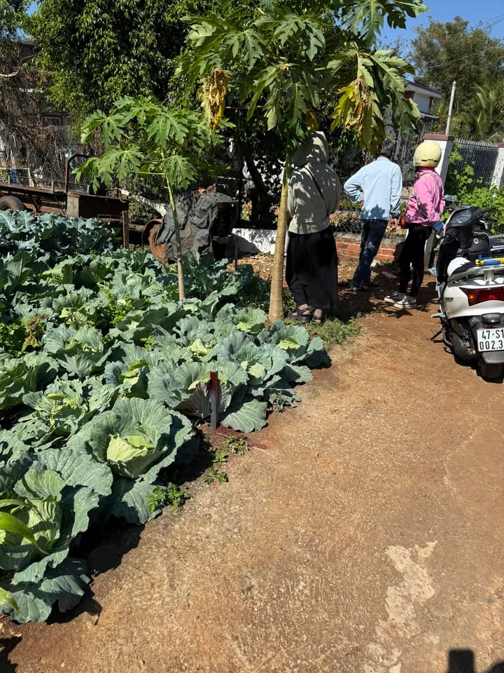 Đất nền Khánh Xuân Buôn Ma Thuột 135m2 720 triệu - Tiềm năng tăng giá