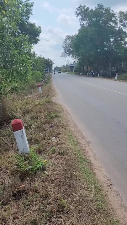 Đất nền Ấp Vịnh An Đức Hòa 728m² - Đất thổ cư 100%!