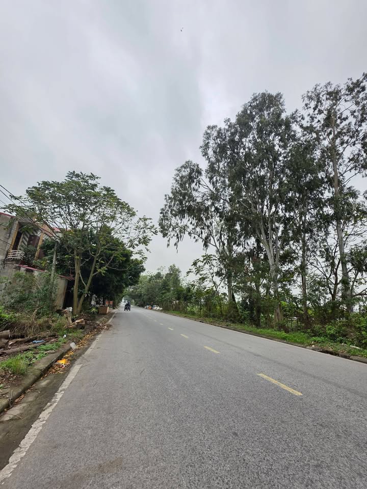 Đất nền Phường Khúc Xuyên, TP Bắc Ninh 71m² - Tiềm năng tăng giá vượt trội!