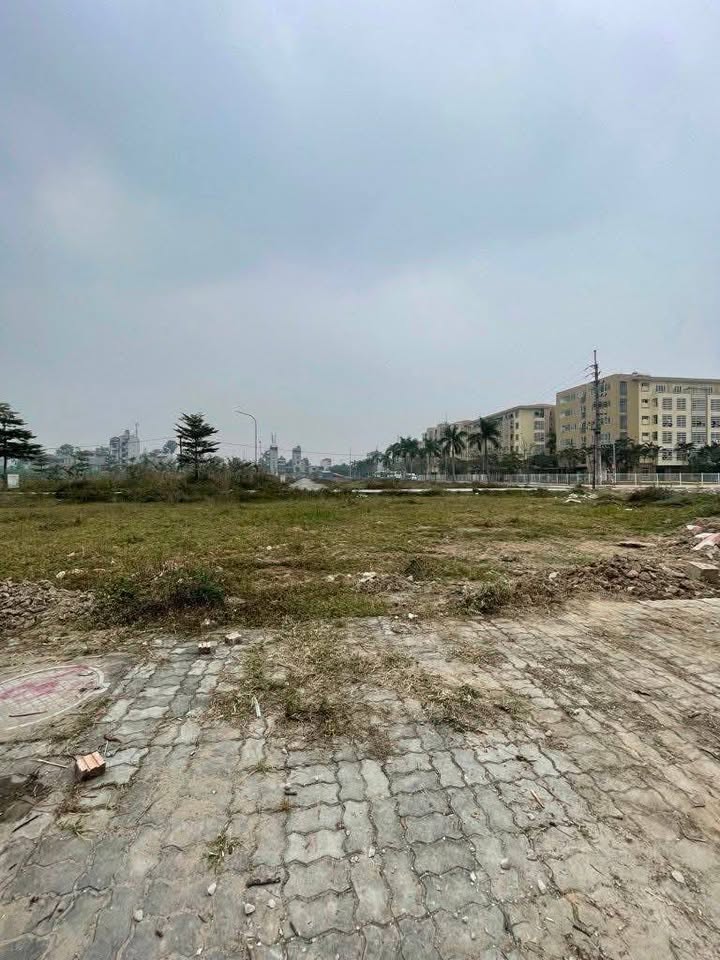 Đất nền Dự án Tam Đa Yên Phong 115m² giá 4 tỷ - Sổ hồng chính chủ