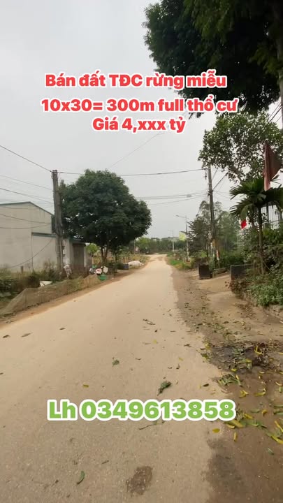 Đất nền Phú Thọ 300m² - Mặt tiền 10m gần KCN Phú Hà, sổ đỏ sẵn sàng