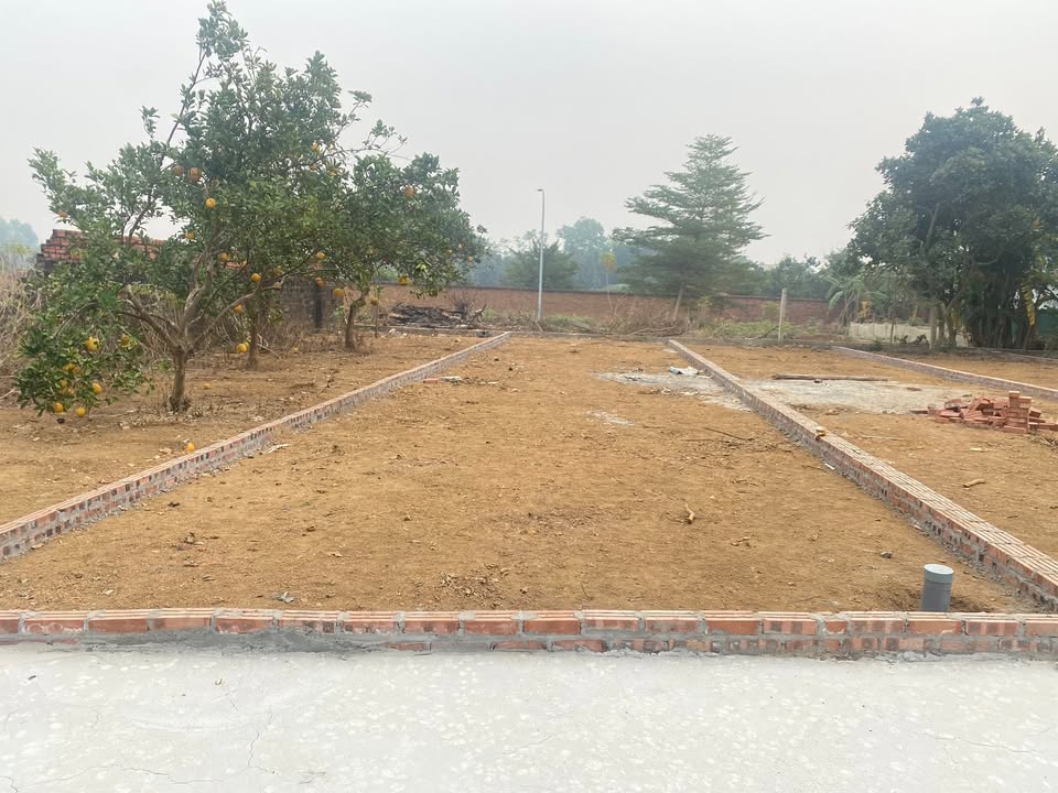 Đất nền Thôn 7 Tân Xã 100m² - Sổ đỏ sẵn sàng, giá đầu tư