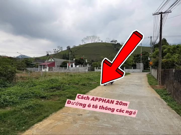 Đất Vườn 210m² Phường Trung Tâm, Nghĩa Lộ - Tiềm Năng Đầu Tư & An Cư Lý Tưởng