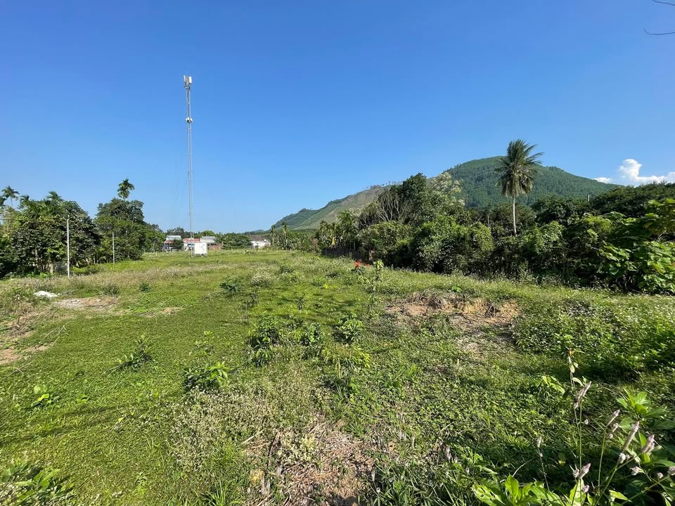 Bán Gấp Vườn Nghỉ Dưỡng Hòa Phú, Đà Nẵng - 3100m² Sổ Hồng Riêng