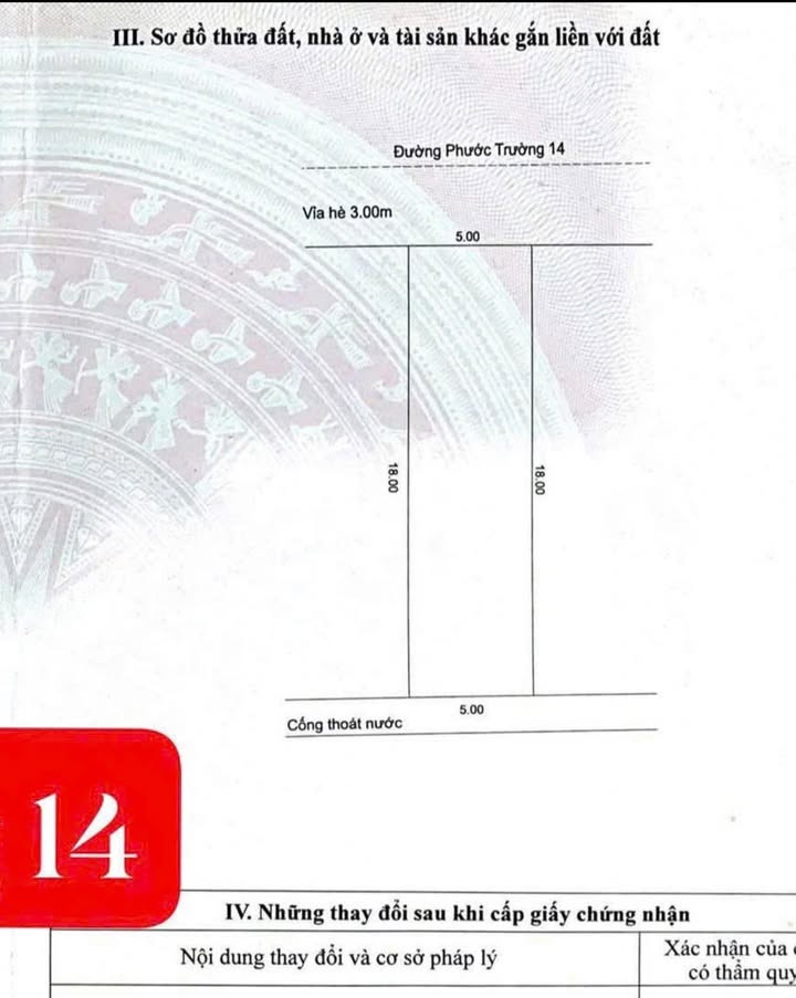 Đất nền Sơn Trà Đà Nẵng 90m² 1 tỷ - Tiềm năng tăng giá vượt trội!