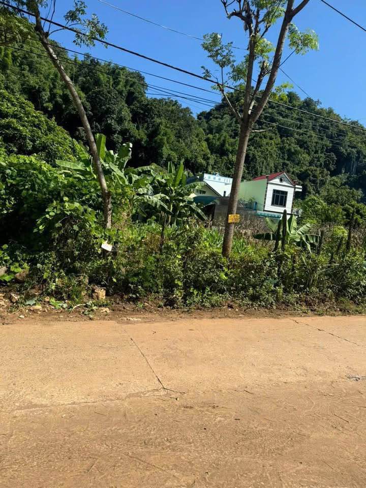 Đất Nền Sơn La 91m² - Sổ Đỏ Full Thổ Cư, Giá Tốt