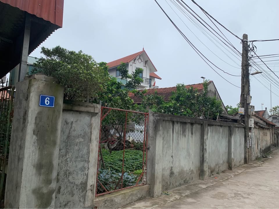 Đất nền Ngọc Tảo Phúc Thọ 111.8m² giá 4x - Sổ đỏ chính chủ