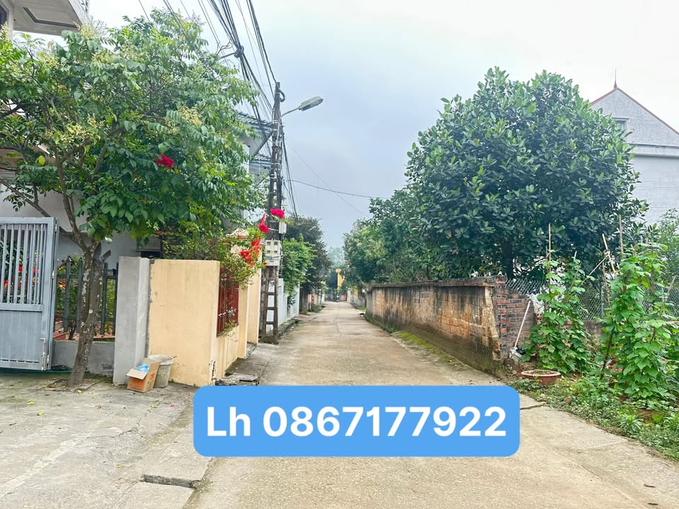 Đất Tân Dân Nguyễn Du 136m² 3 tỷ - Đất thổ cư 100%