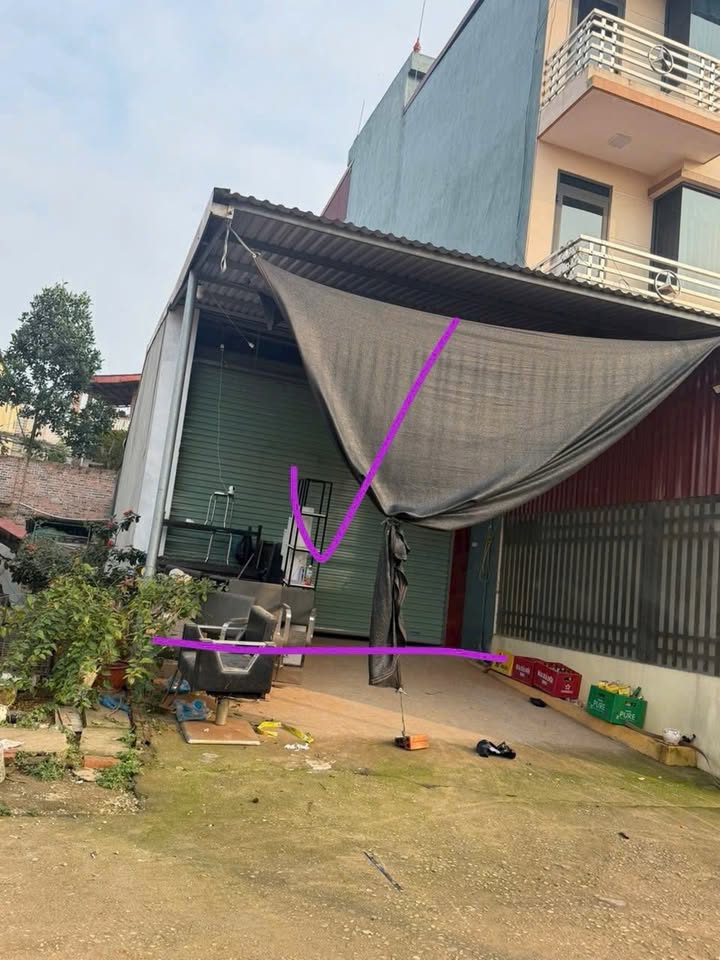 Bán gấp đất nền 100m² dự án Vương Cường 3, Việt Trì - Sổ đỏ sẵn sàng