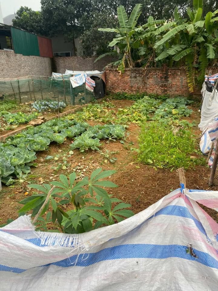 Đất nền Ngõ 1 Võ Thị Sáu 74m² - Tiềm năng tăng giá vượt trội!