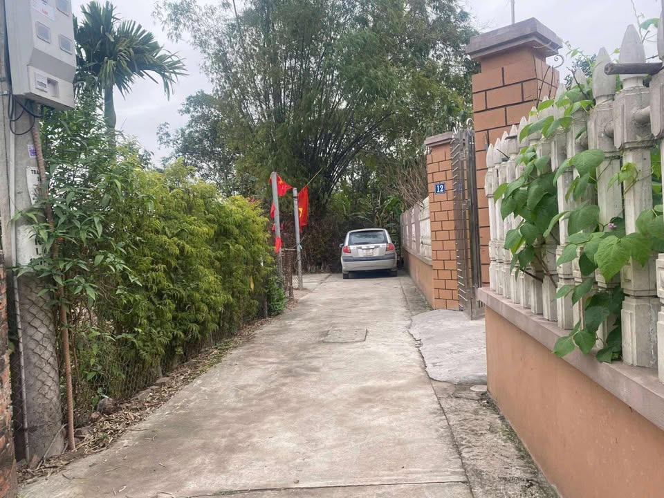 Bán đất Giao tất A, Gia Lâm 55m² giá nhỉnh 3 tỷ - Sổ đỏ sẵn sàng