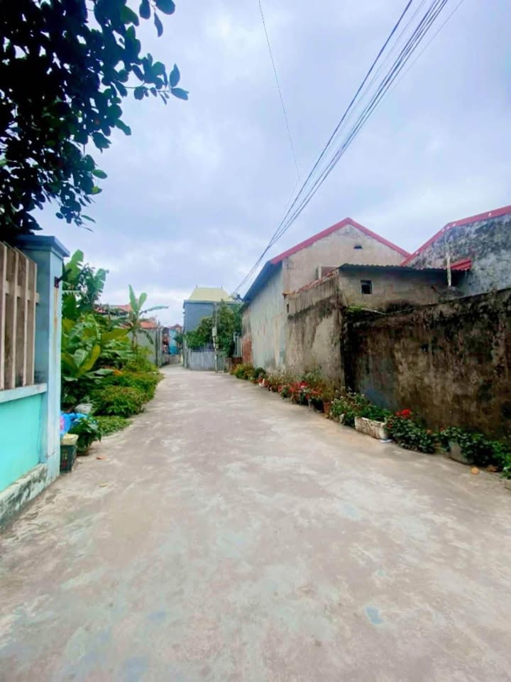 Bán đất Tiểu Trà, Kiến An 51.6m² - Ngõ nông, vuông vắn, giá 1.8 tỷ