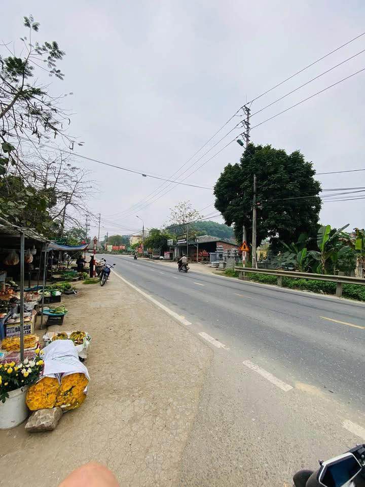 Đất nền Trung Môn, Yên Sơn 270m² - Tiềm năng tăng giá vượt trội!