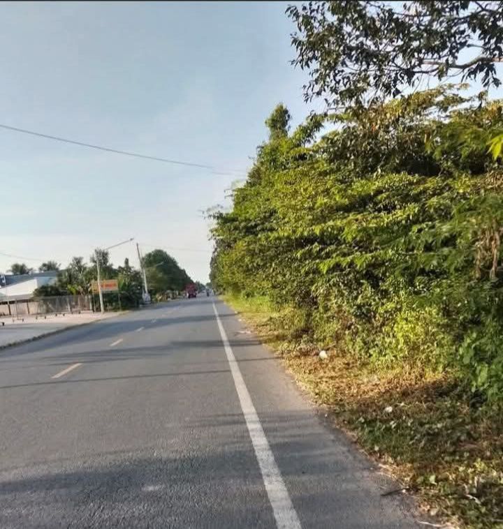 Đất nền mặt tiền Quốc lộ Nam Sông Hậu, Hậu Giang - 1200m² - Giá đầu tư 14.4 tỷ