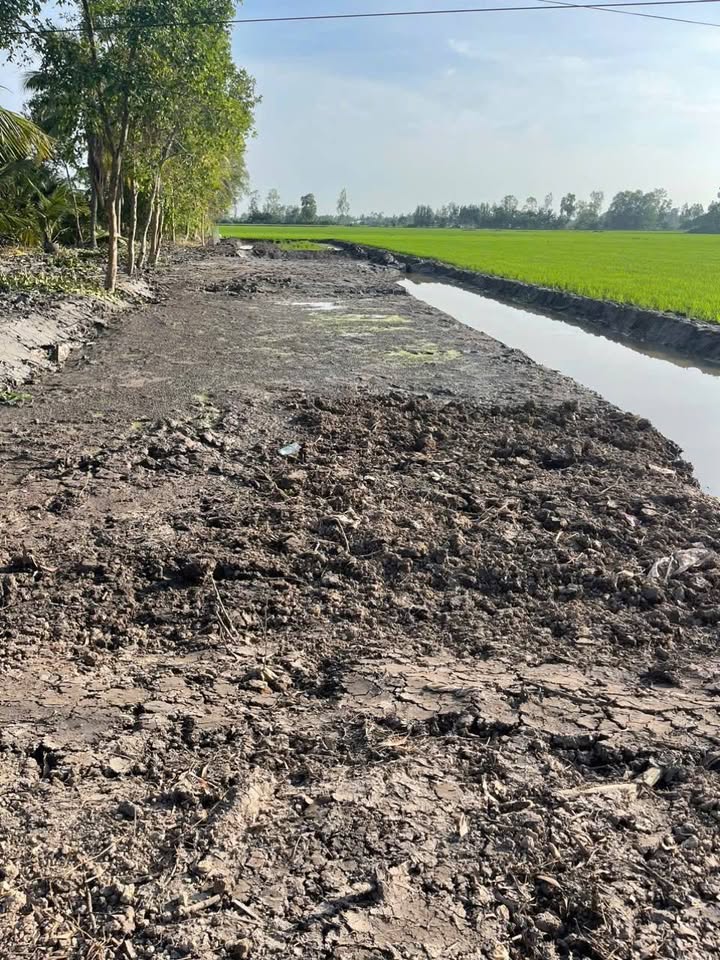 Đất nền Vĩnh Viễn A, Long Mỹ 1000m² 280 triệu - Tiềm năng tăng giá!