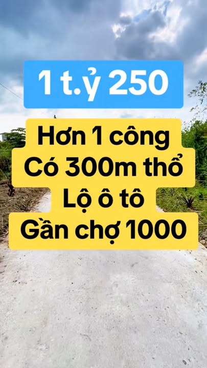 Bán Đất Vườn 1177m² Tân Bình, Hậu Giang - Giá Thỏa Thuận