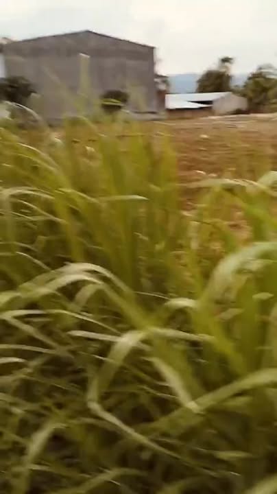 Đất nền Ea Sô (Krông Năng) 1.875m² 140tr/m - Tiềm năng tăng giá