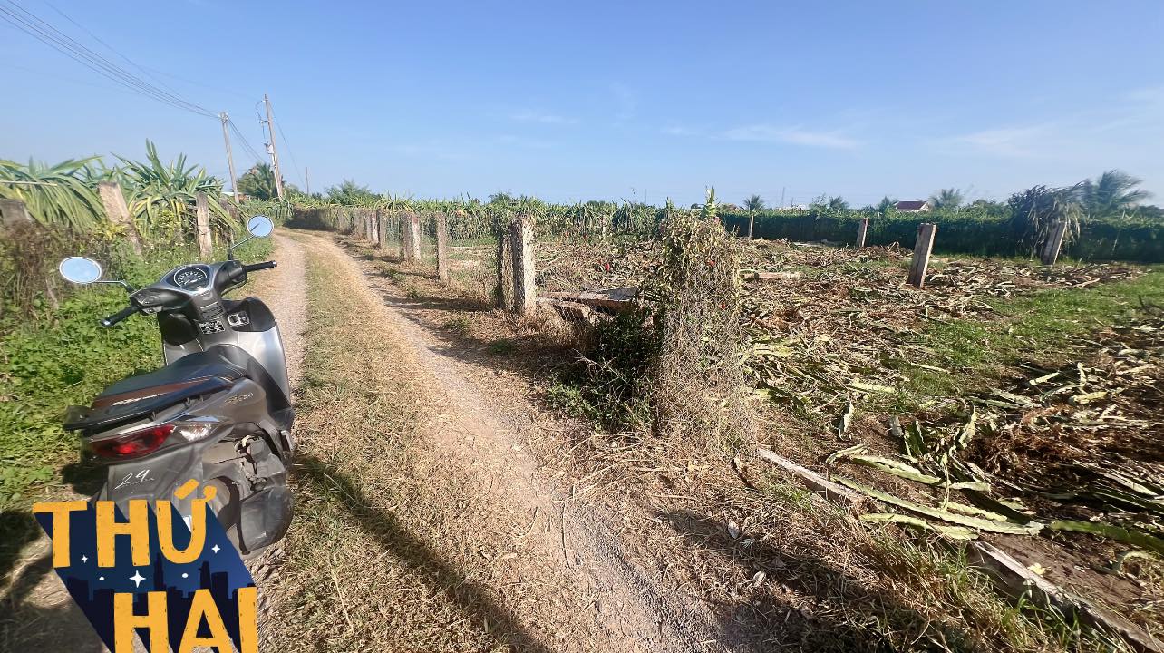 Đất nền Phan Thiết 125m² - Sổ đỏ chính chủ, giá 560 triệu