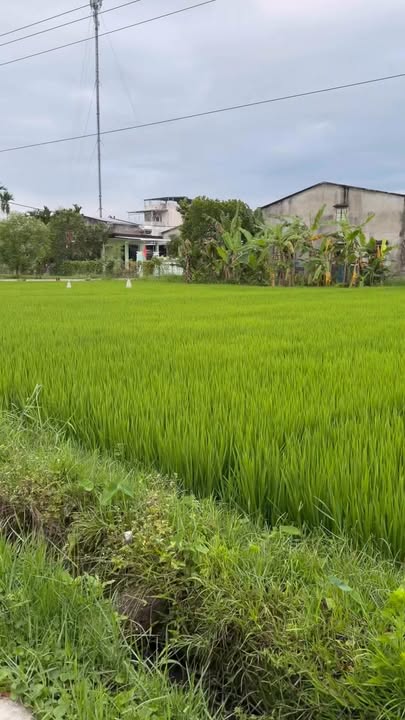 Đất nền Duy Trung 125m² giá 6xx triệu - Ngay trường Juko, tiềm năng tăng giá!