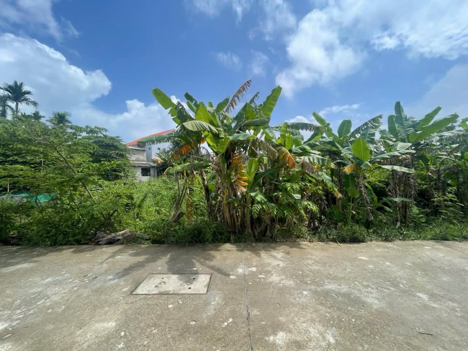 Đất nền Cẩm Thanh Hội An 123m² 2.5 tỷ - Đường to ô tô