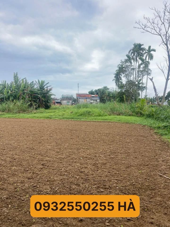 Đất nền Duy Xuyên Hoàng Sa 900m² 1 tỷ - Sổ đỏ chính chủ