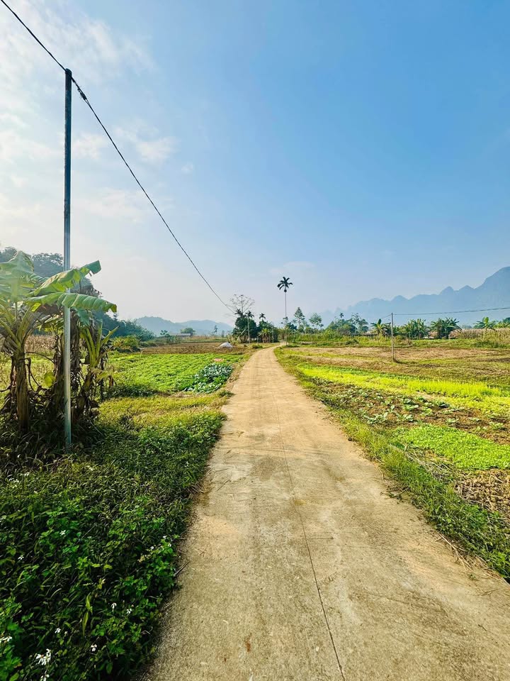 Đất nền Phong Quang, Hà Giang 225m² - Sổ đỏ chính chủ, ô tô tận nơi!