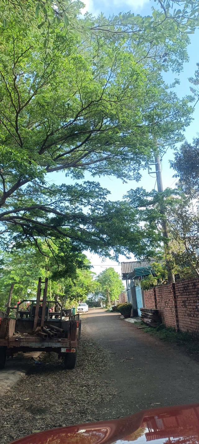 Đất nền Tân An Buôn Ma Thuột 200m² 1.3 tỷ - Tiềm năng tăng giá