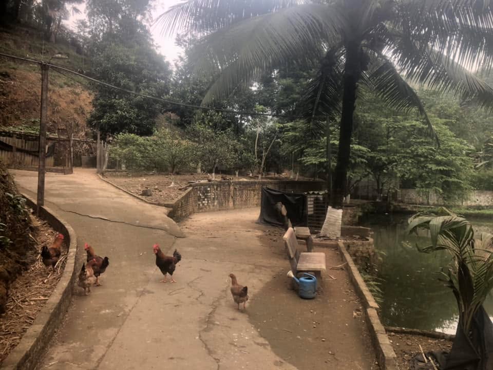 Đất nền 2000m² Bảo Yên, Lào Cai - Sổ đỏ chính chủ