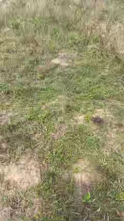 Đất nền Đông Hòa Phú Yên 928m2 - Sổ đỏ chính chủ