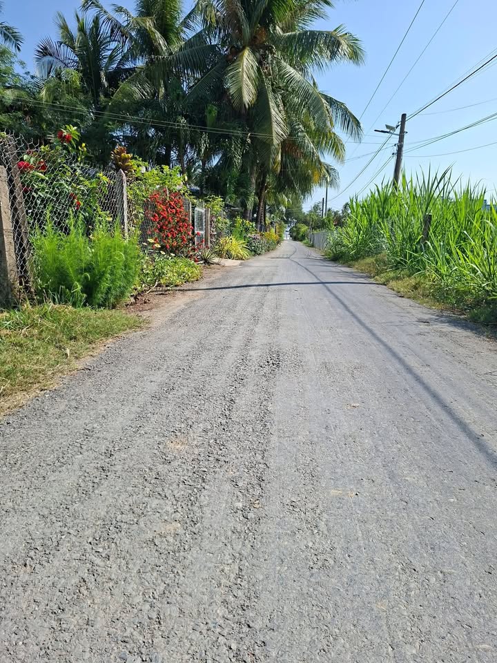 Bán Đất Gò Công Đông 426m² - Sổ Hồng Thổ Cư, Mặt Tiền Nhựa