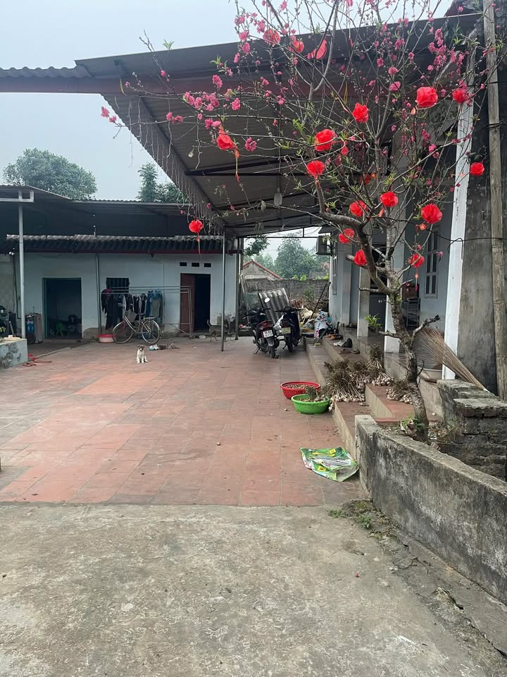 Đất nền Bố Hạ 1800m² giá 1,2 tỷ - Đầu tư dài hạn