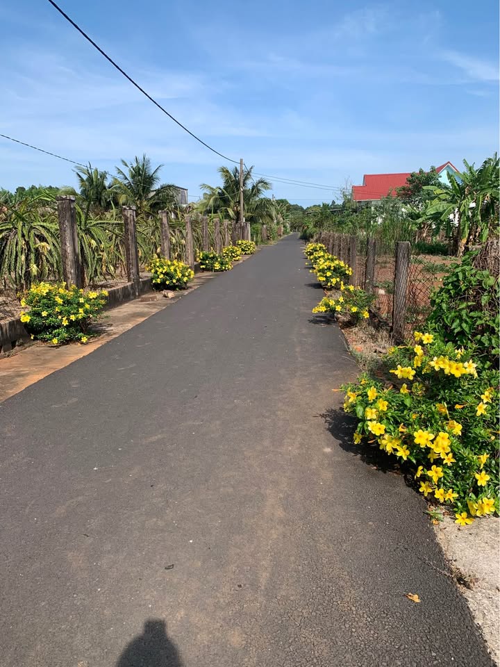 Đất nền Bông Trang Xuyên Mộc 300m² 1,45 tỷ - Sổ đỏ chính chủ